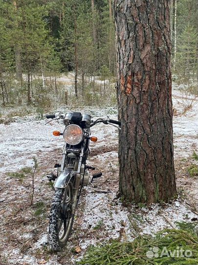 Мопед альфа