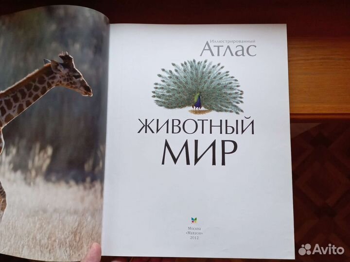 Иллюстрированный атлас 