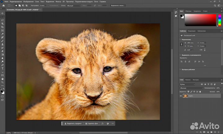 Adobe Photoshop 2024. Бессрочно. Фотошоп 2024