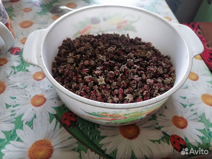 Клубника лесная сушеная