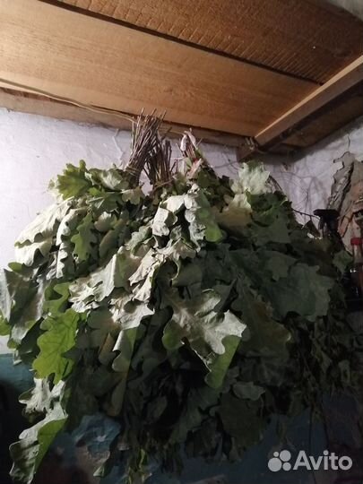 Веник дубовый