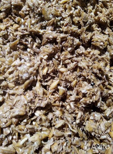 Пивная дробина барда, с доставкой