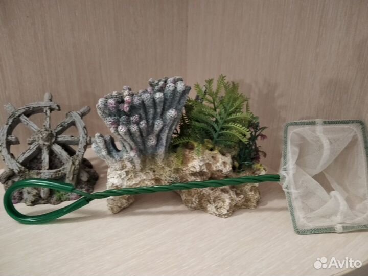 Для аквариума