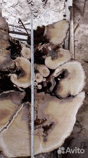 Поперечные спилы