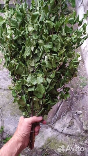 Большие берёзовые веники