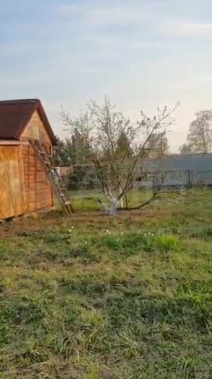 Дача 24 м² на участке 9,6 сот.