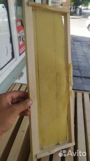 Суш для пчёл