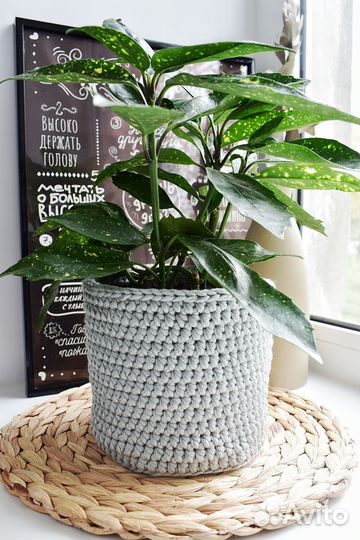 Кашпо для цветов вязаное, корзинка для цветка