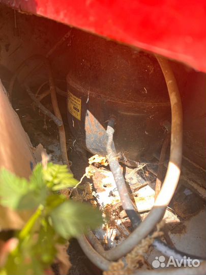 Морозильный ларь