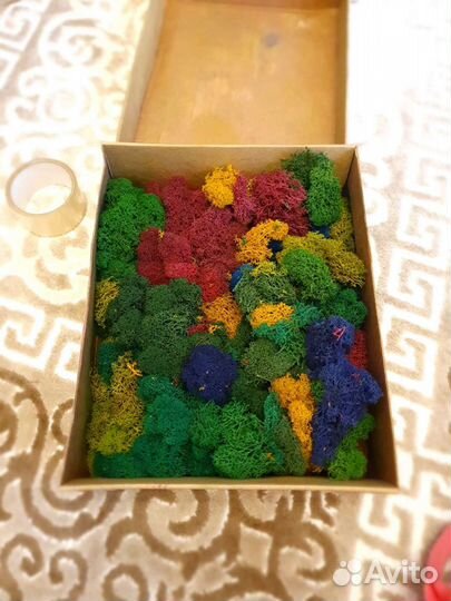 Стабилизированный мох