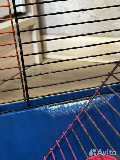 Клетка для грызунов