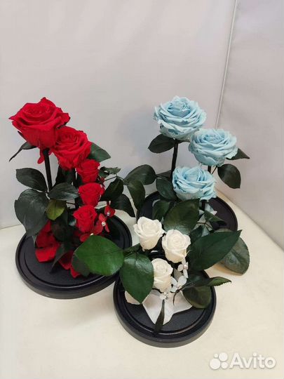 Подарок на новый год / Цветы