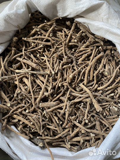 Корень одуванчика