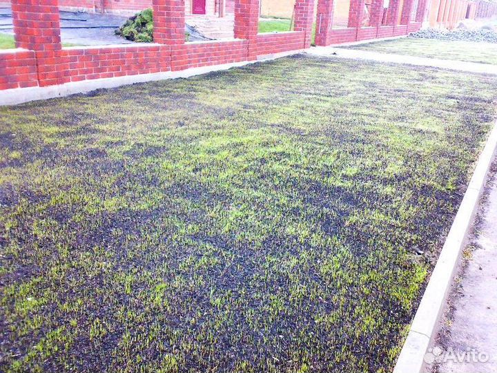 Озеленение (посевной газон), газон под ключ