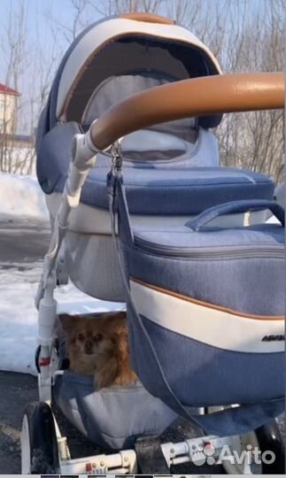 Коляска adamex 3 в 1