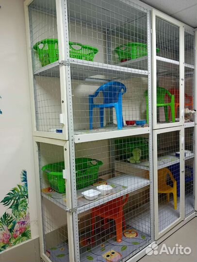 Зоогостиница 