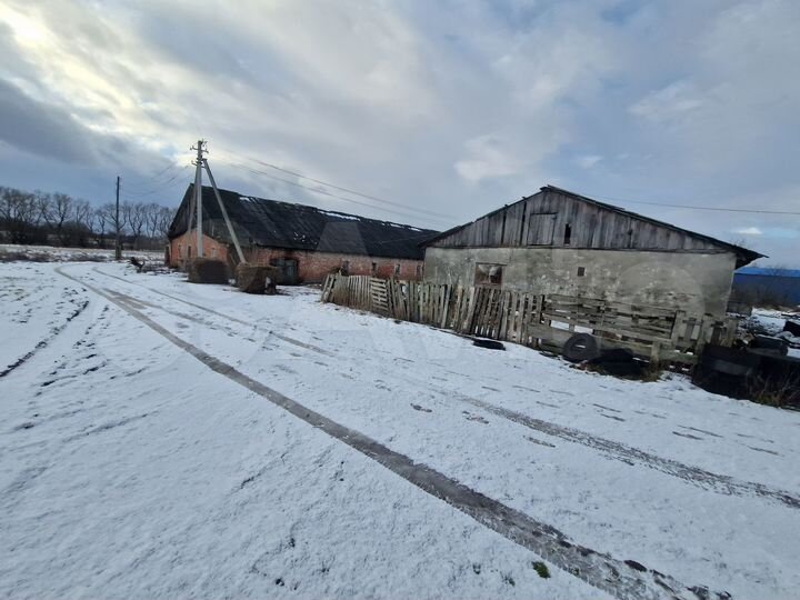 Участок 1,55 га (СНТ, ДНП)