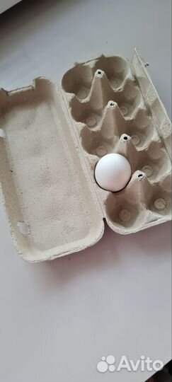 Кассеты для яиц