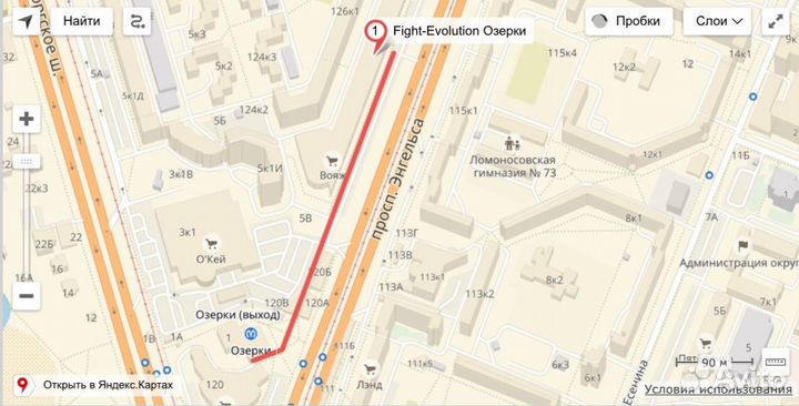 Трико борцовское