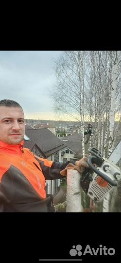 Спилить дерево, спил деревьев, срубить, расчистка