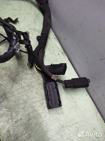 Проводка двигателя (коса жгут) Mercedes Sprinter