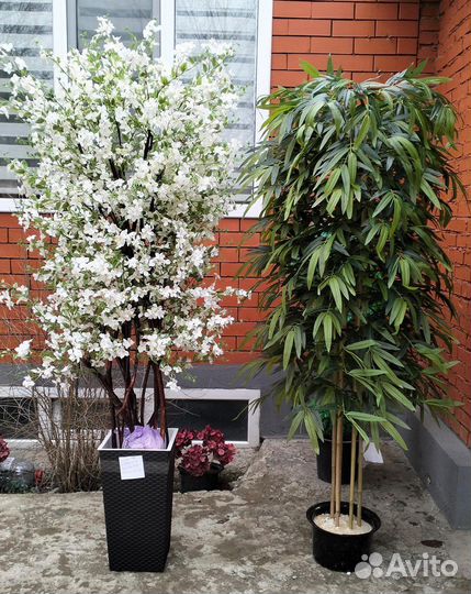 Искусственные растения для декора