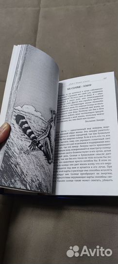 Карты таро Животные тотемы с книгой