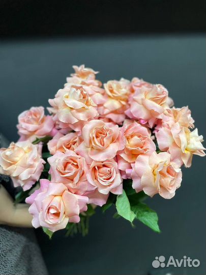 Купить розы, доставка роз, французские розы