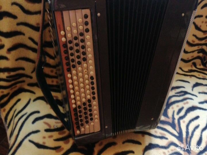 Баян тульский