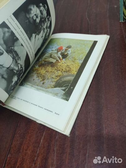 Книги о Птицах