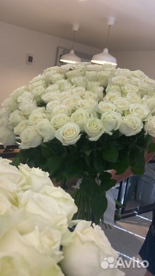 Белые розы. 25 роз. 51 роза. 101 роза. Доставка