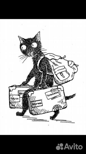 Теки 3.5 месяца