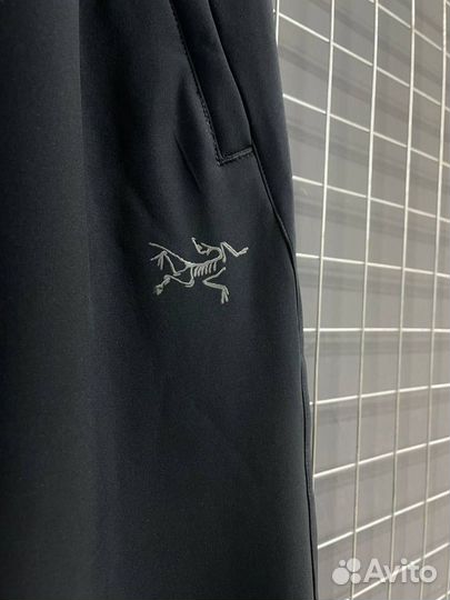 Спортивные штаны Arcteryx