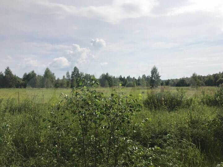 Участок 15 сот. (СНТ, ДНП)