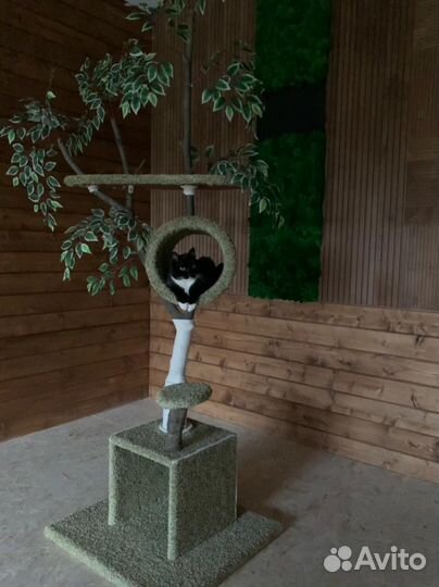 Дерево для кошки