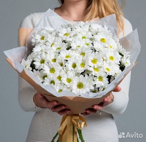 Ромашка мелкая, хризантема ромашкой