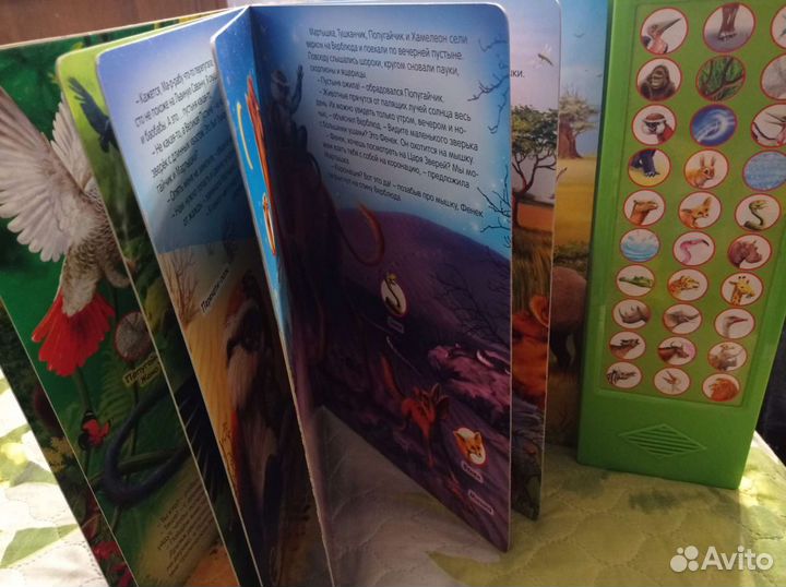 Развивающая книга