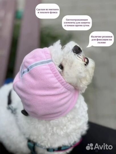 Шапка для собак мелких пород