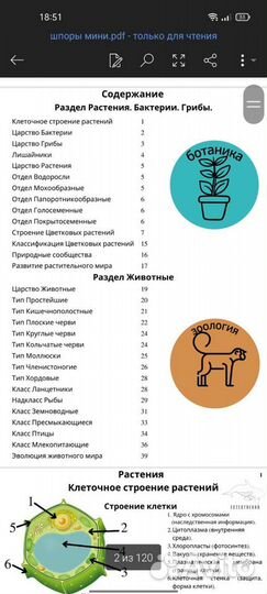 Мини конспекты по биологии