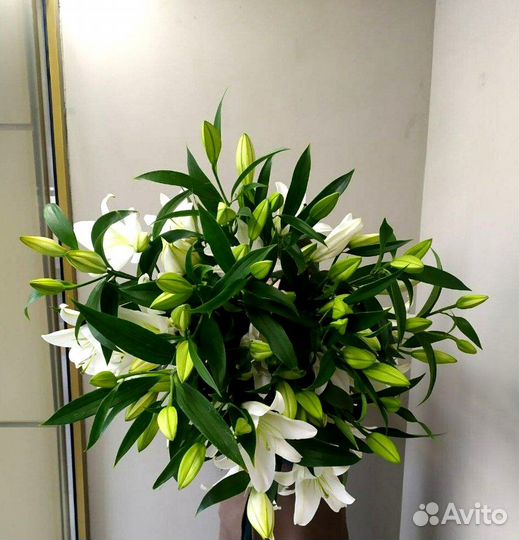 Букет лилий Лилии