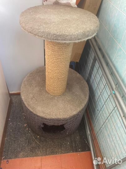 Когтеточка