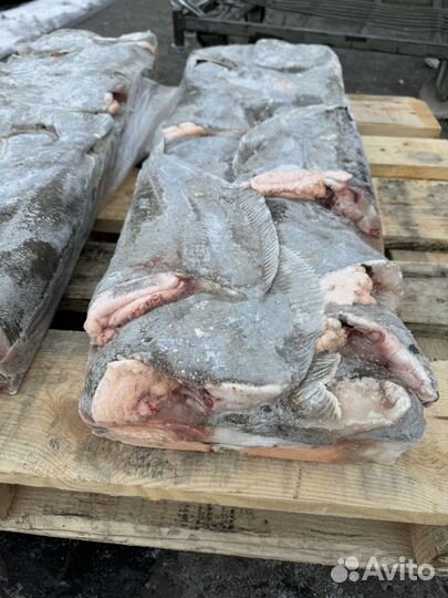 Камбала ерш свежемороженный