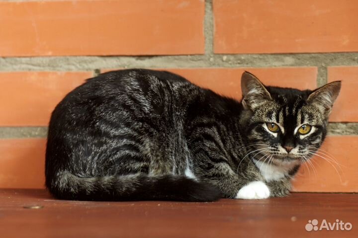 Девочка Лея ищет маму