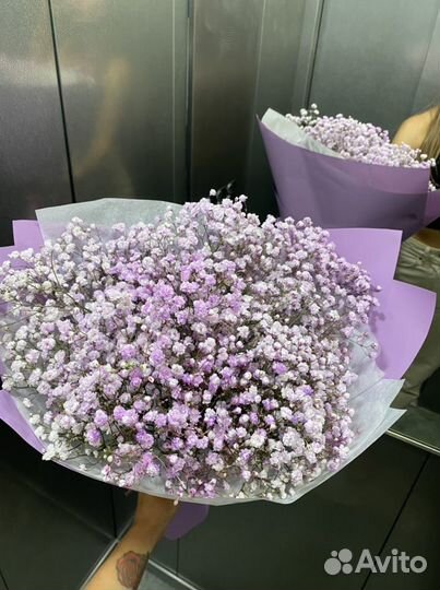 Гипсофила букет