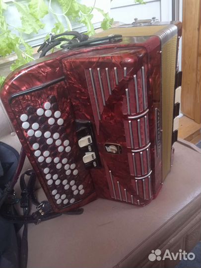 Баян weltmeister