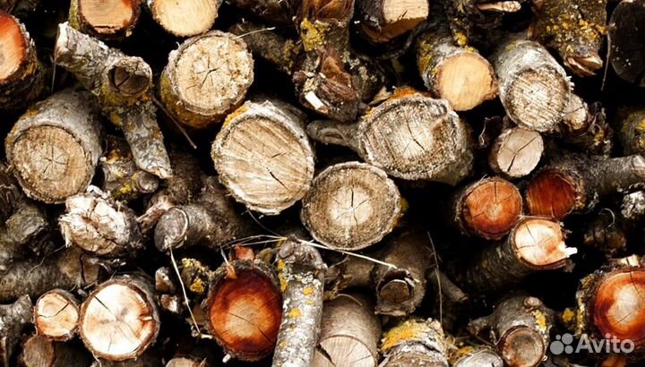 Дрова в СПБ