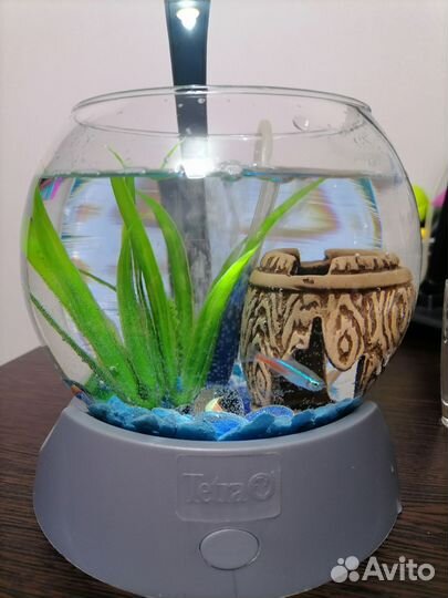 Аквариум 1.8 л tetra
