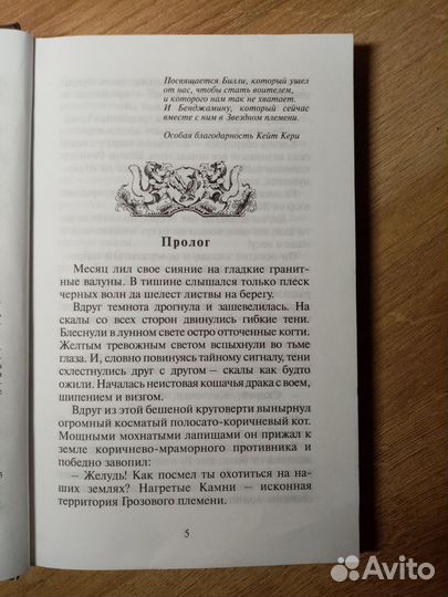 Коты воители стань диким