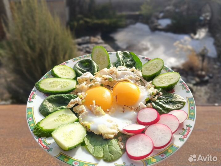 Яйца утиные диетические