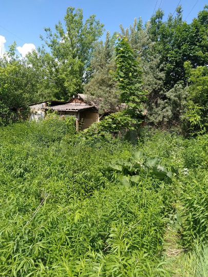 Дача 35 м² на участке 6 сот.